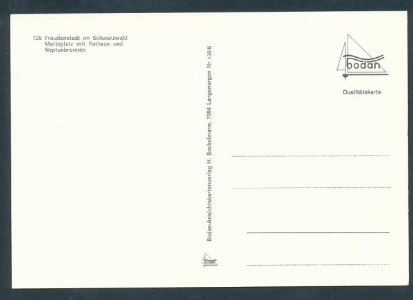 Neptunbrunnen mit Rathaus in Freudenstadt